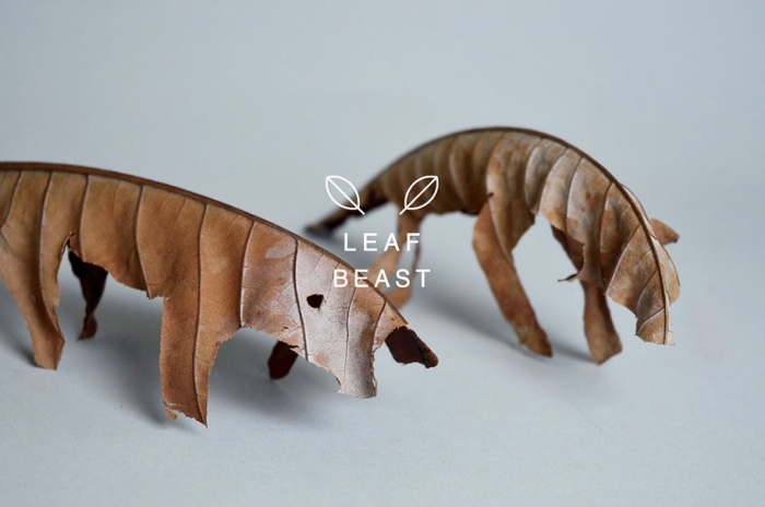 leaf-beast-magnolia-obovata-natural-art-baku-maeda-6