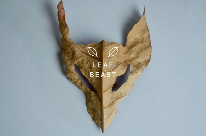 leaf-beast-magnolia-obovata-natural-art-baku-maeda-1