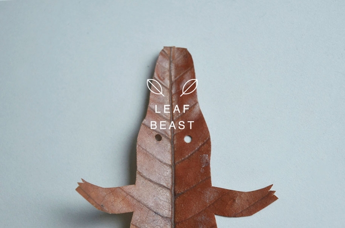 leaf-beast-magnolia-obovata-natural-art-baku-maeda-10