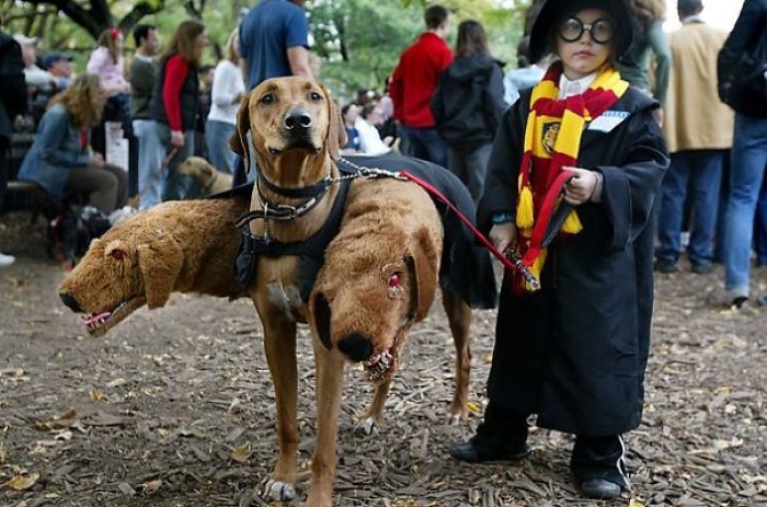 cool-children-halloween-costumes-48