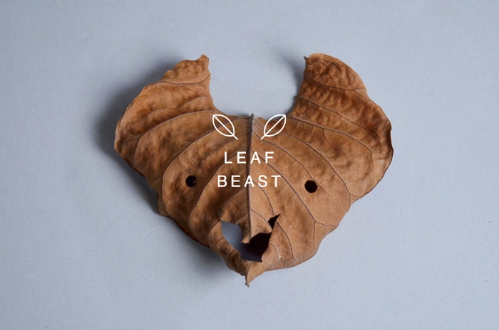 leaf-beast-magnolia-obovata-natural-art-baku-maeda-2