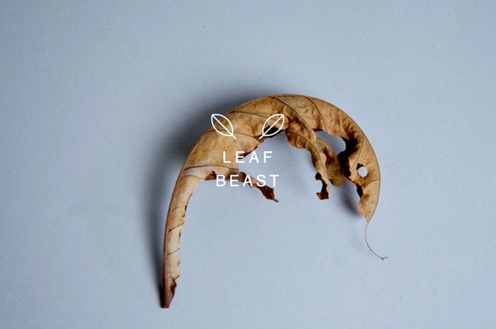 leaf-beast-magnolia-obovata-natural-art-baku-maeda-3
