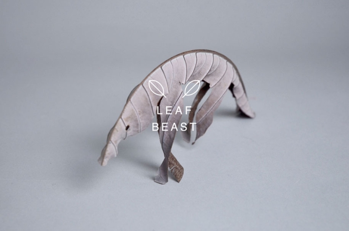 leaf-beast-magnolia-obovata-natural-art-baku-maeda-8