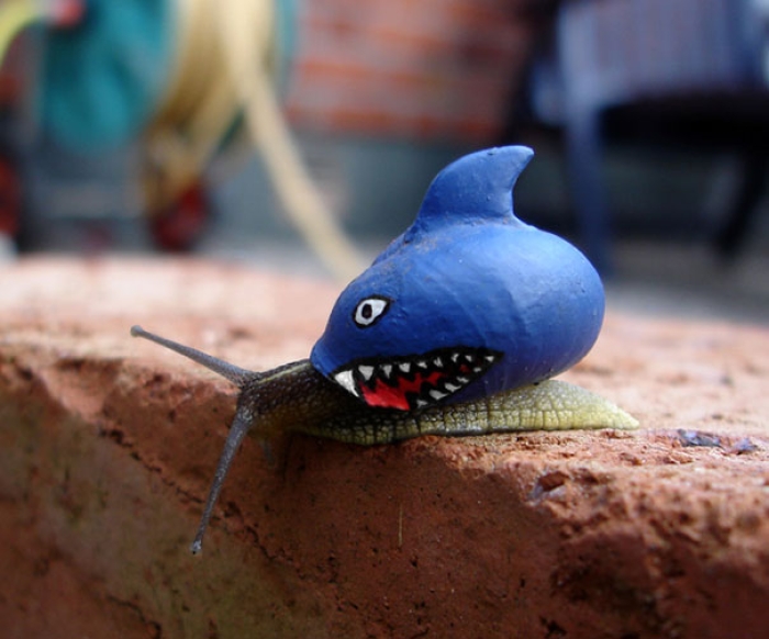 painted-snail-shell-art-14