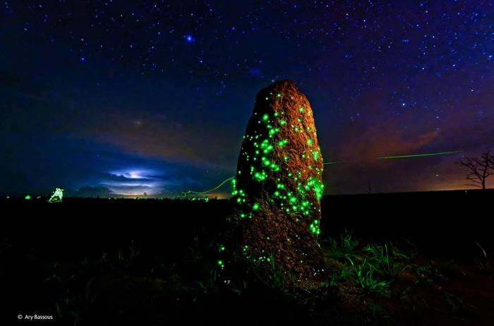 wildlife-photographer-of-the-year-2014-awards-6