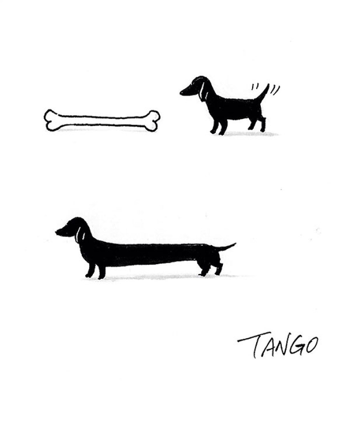 funny-minimal-illustrations-tango-3