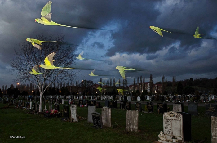 wildlife-photographer-of-the-year-2014-awards-25