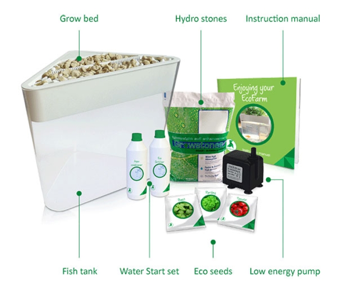 ecofarm-aquaponic-food-production-aquaculpture-hydroponics-fish-tank-3
