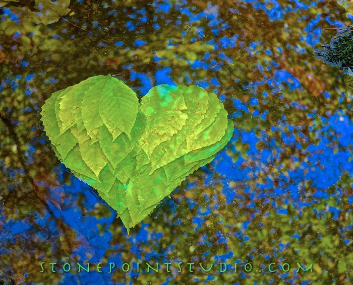 natural-art-public-intallation-stones-david-allen-10