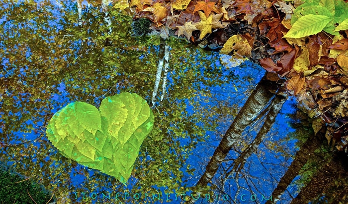 natural-art-public-intallation-stones-david-allen-11