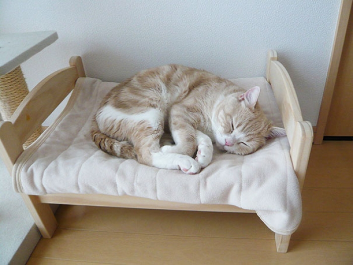 duktig-japanese-cat-bed-ikea-1