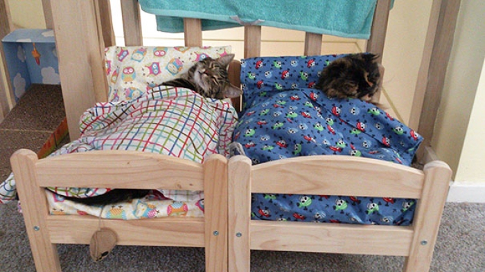duktig-japanese-cat-bed-ikea-3