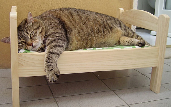 duktig-japanese-cat-bed-ikea-5