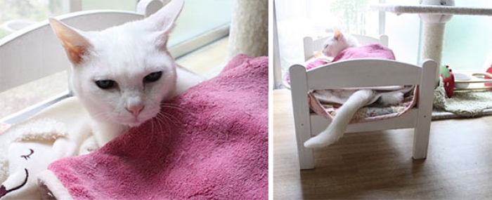 duktig-japanese-cat-bed-ikea-7