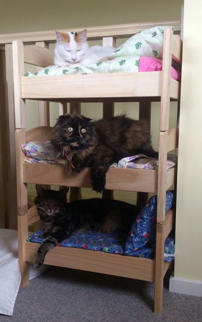 duktig-japanese-cat-bed-ikea-8
