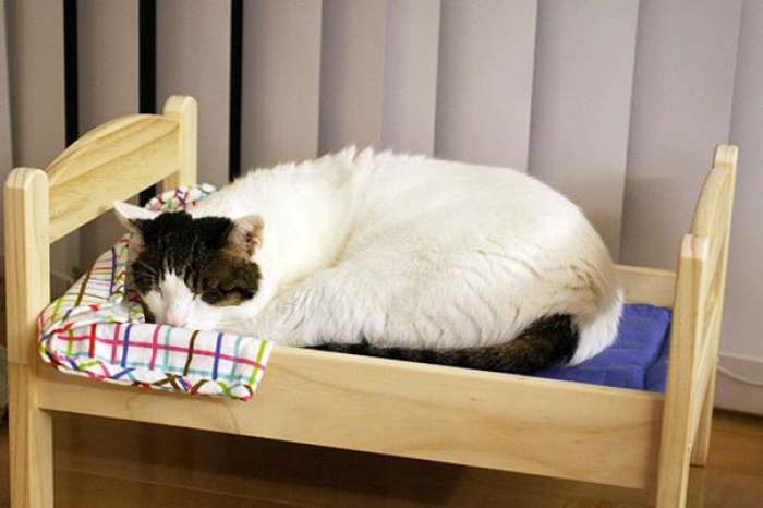 duktig-japanese-cat-bed-ikea-9