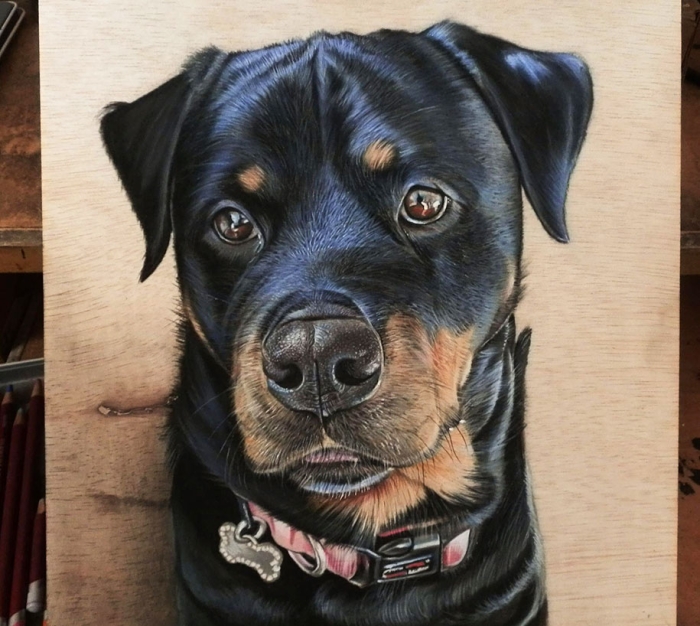photorealism-drawing-wood-ivan-hoo-7