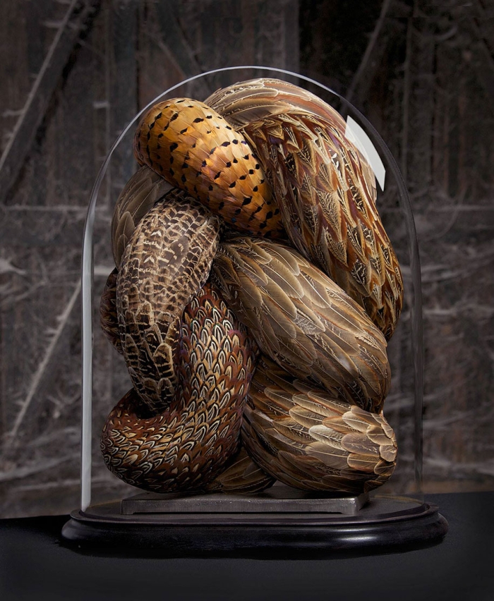 bird-feather-sculpture-art-kate-mccgwire-11
