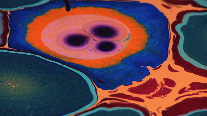 psychedelic-art-paint-resin-bruce-riley-16