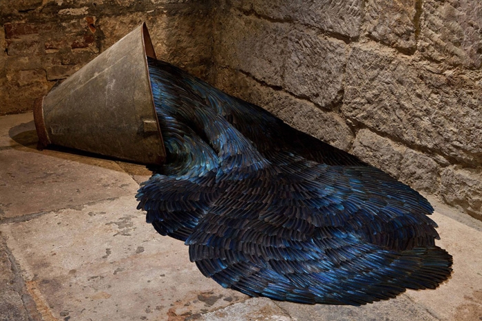 bird-feather-sculpture-art-kate-mccgwire-13