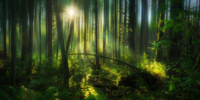 landscape-photography-partents-dylan-toh-marianne-lim-8