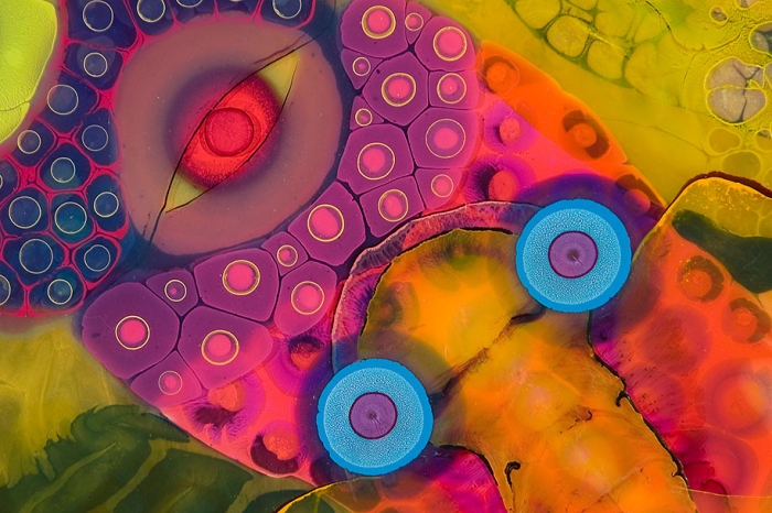 psychedelic-art-paint-resin-bruce-riley-5
