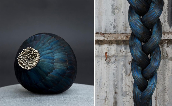 bird-feather-sculpture-art-kate-mccgwire-19