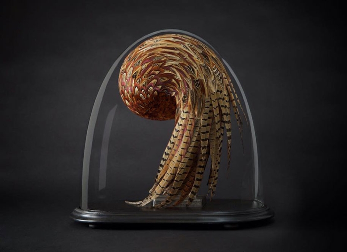 bird-feather-sculpture-art-kate-mccgwire-8
