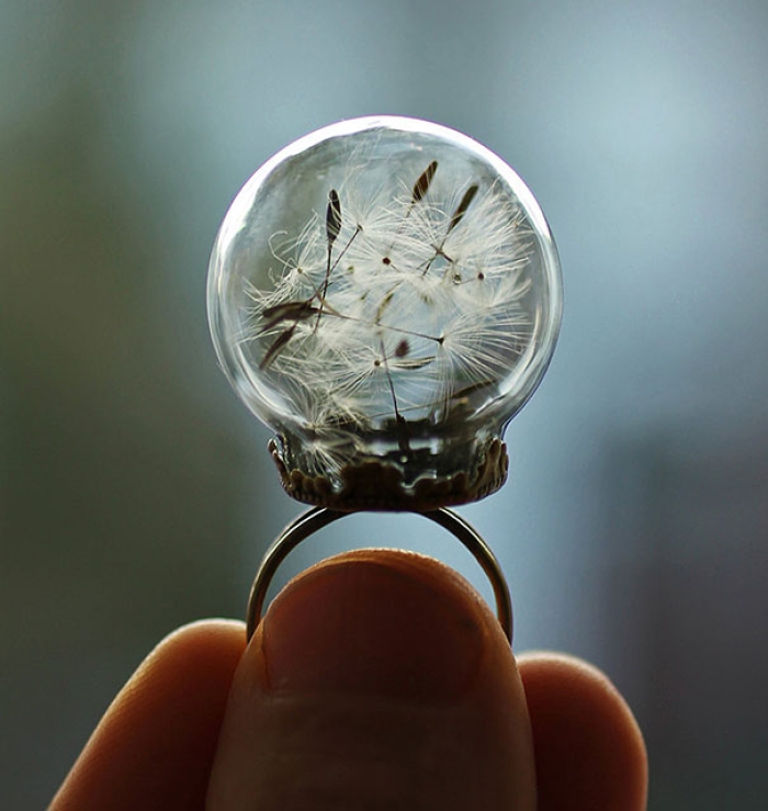glass-globe-terrarium-ring-designs-3