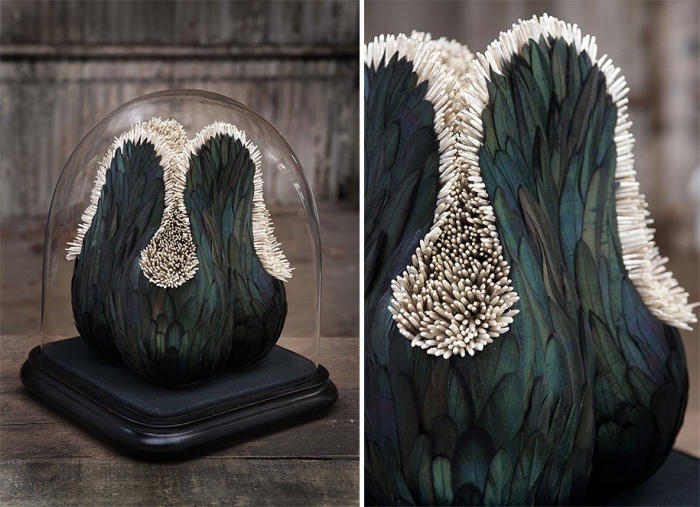 bird-feather-sculpture-art-kate-mccgwire-20