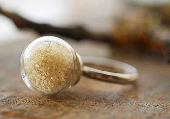 glass-globe-terrarium-ring-designs-5