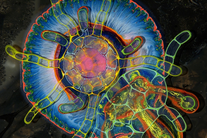 psychedelic-art-paint-resin-bruce-riley-6