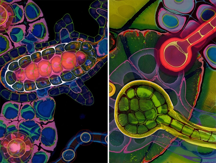 psychedelic-art-paint-resin-bruce-riley-7