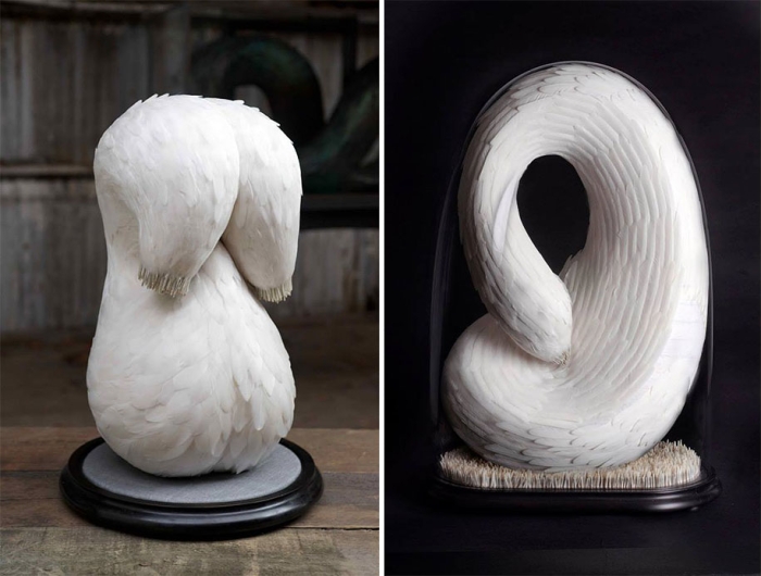 bird-feather-sculpture-art-kate-mccgwire-27