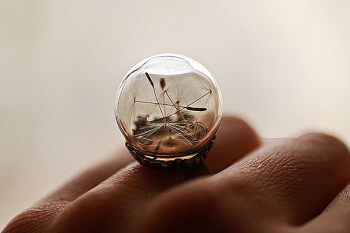 glass-globe-terrarium-ring-designs-9