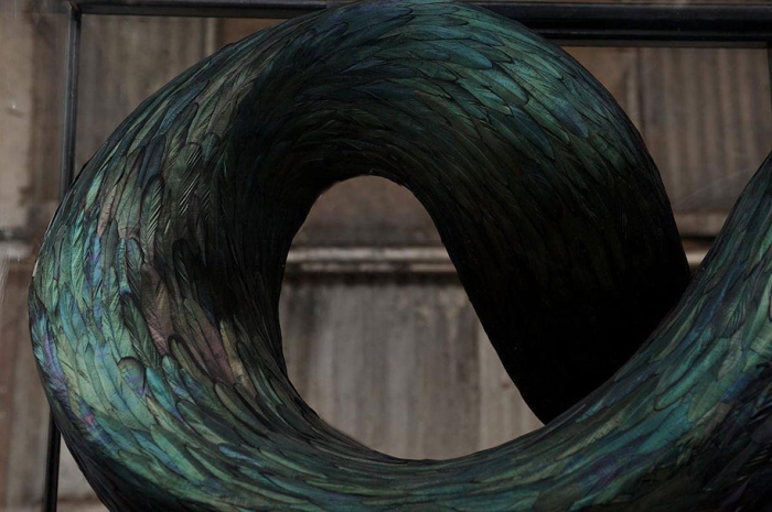 bird-feather-sculpture-art-kate-mccgwire-9