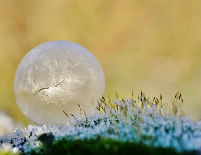 winter-snow-natural-ice-art-3