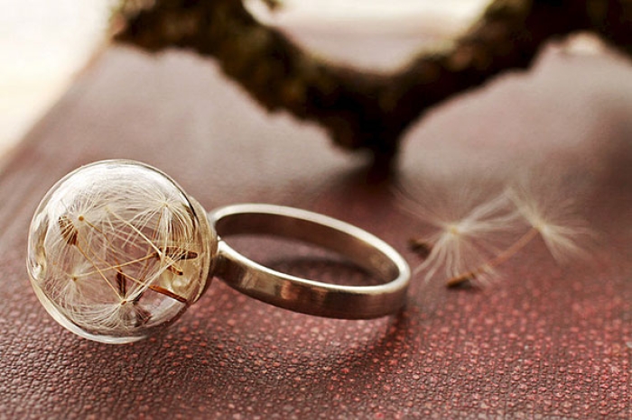 glass-globe-terrarium-ring-designs-10