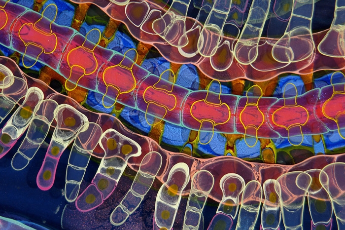 psychedelic-art-paint-resin-bruce-riley-3