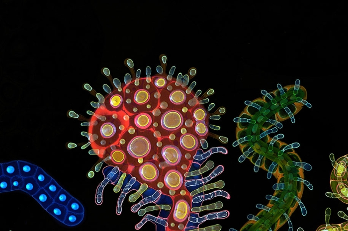 psychedelic-art-paint-resin-bruce-riley-12