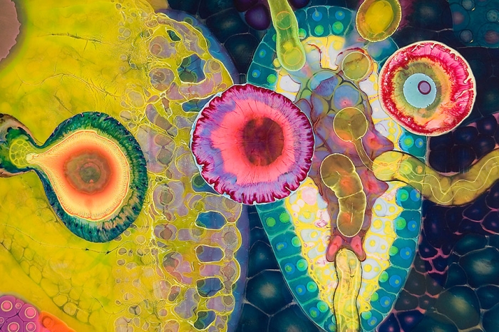 psychedelic-art-paint-resin-bruce-riley-13