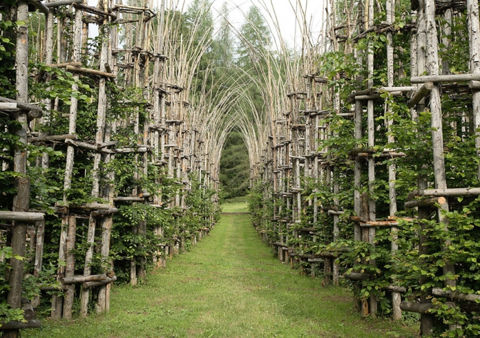 cattedrale-vegetale-tree-cathedral-giuliano-mauri-1