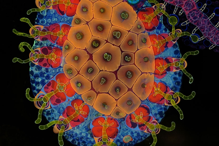 psychedelic-art-paint-resin-bruce-riley-10