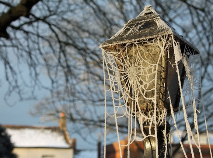 winter-snow-natural-ice-art-9