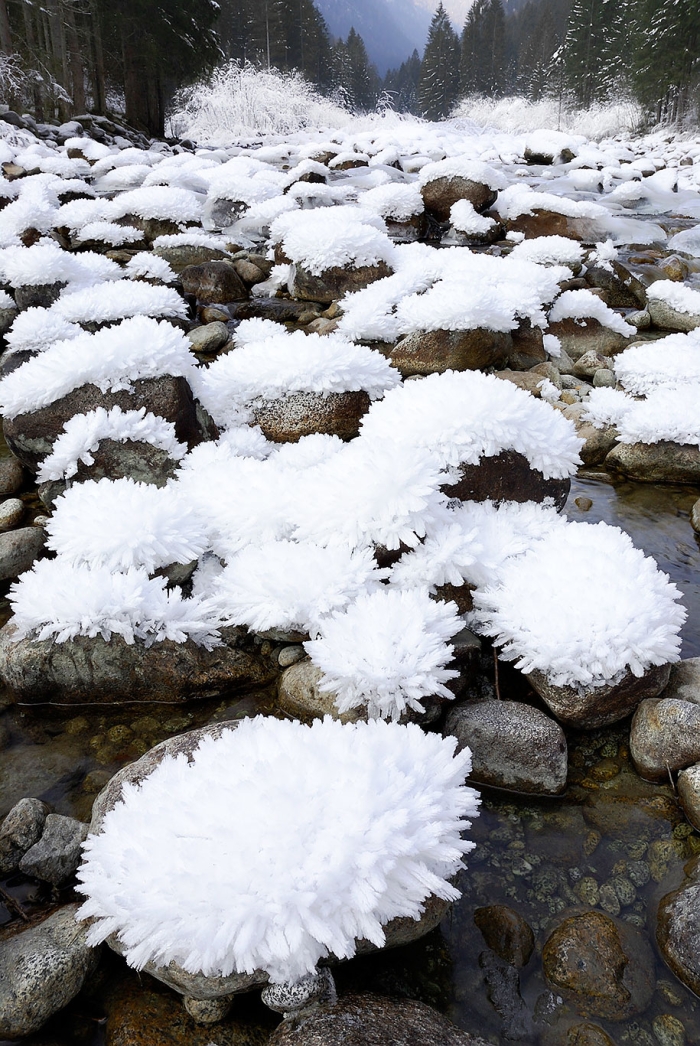 winter-snow-natural-ice-art-11