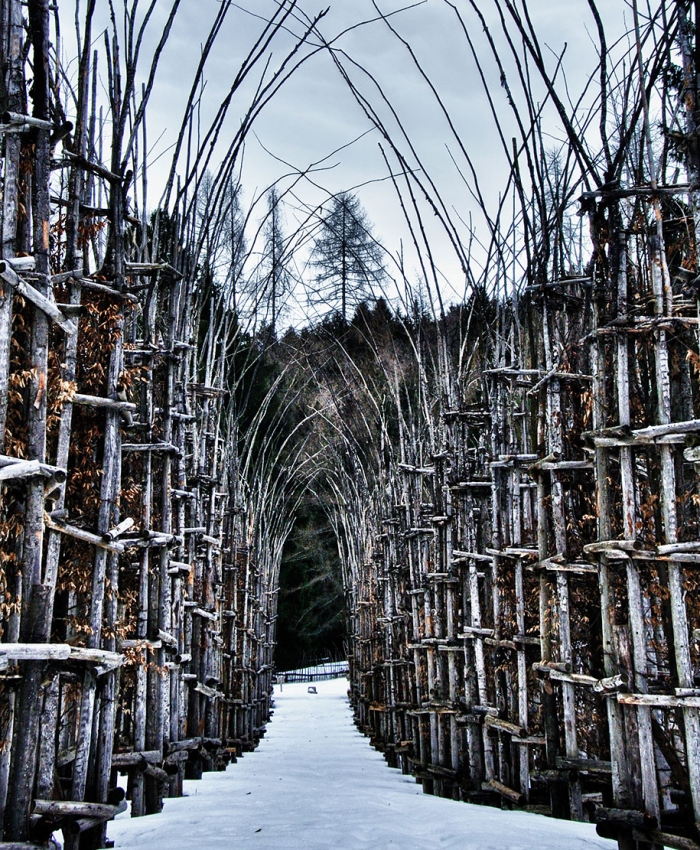 cattedrale-vegetale-tree-cathedral-giuliano-mauri-6