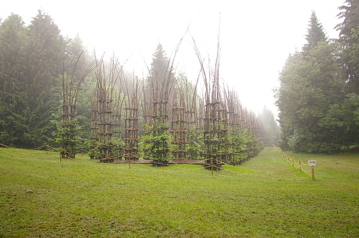 cattedrale-vegetale-tree-cathedral-giuliano-mauri-7