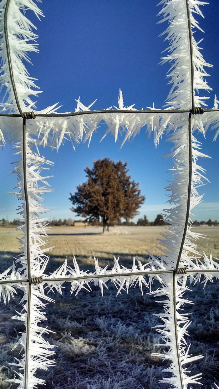 winter-snow-natural-ice-art-14