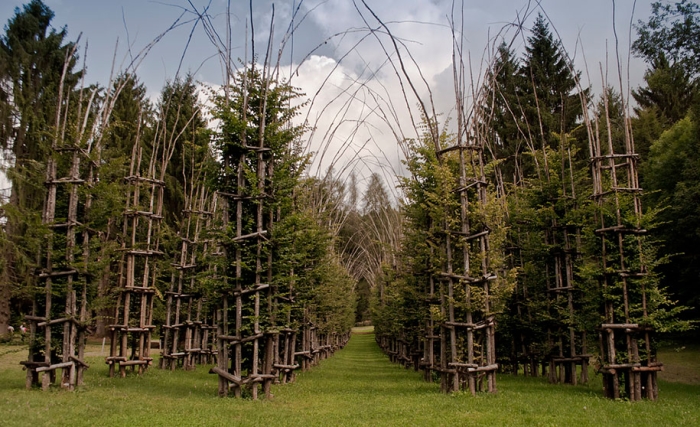 cattedrale-vegetale-tree-cathedral-giuliano-mauri-9