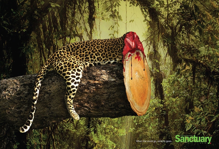 social-ads-call-of-the-wild-sanctuary-asia-4
